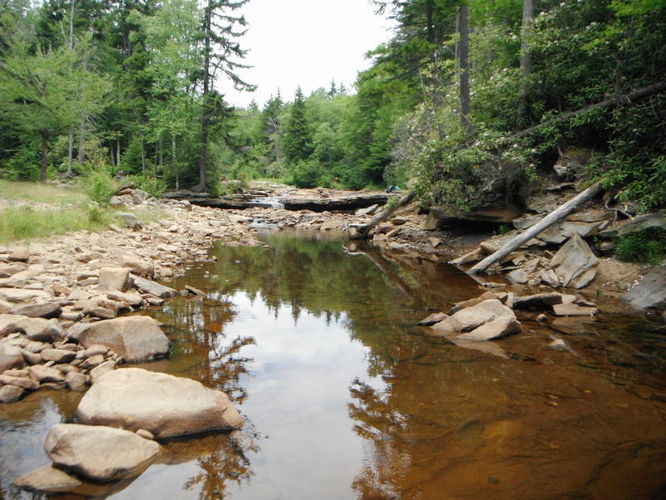 Picture 40 of Dolly Sods Lions Head Hike 072514