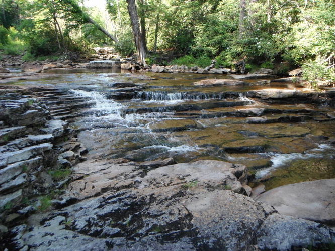 Picture 39 of Dolly Sods Lions Head Hike 072514