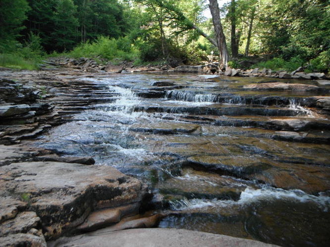 Picture 38 of Dolly Sods Lions Head Hike 072514