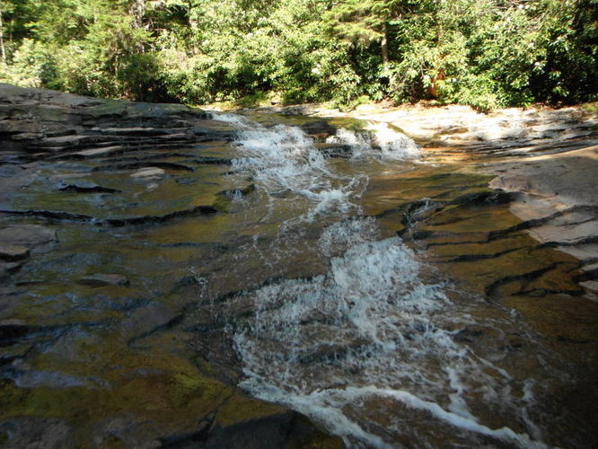 Picture 37 of Dolly Sods Lions Head Hike 072514