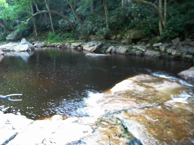Picture 36 of Dolly Sods Lions Head Hike 072514