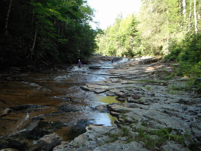 Picture 34 of Dolly Sods Lions Head Hike 072514