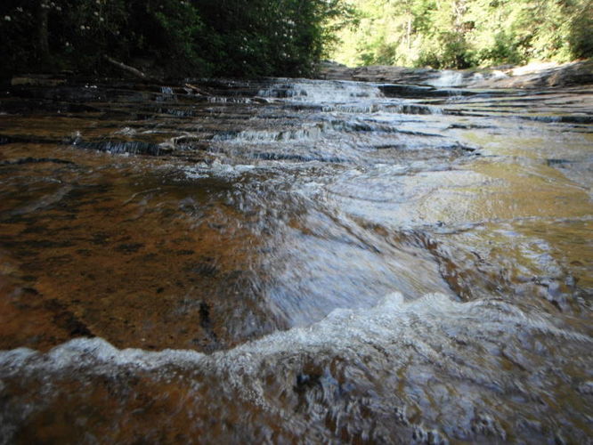 Picture 32 of Dolly Sods Lions Head Hike 072514