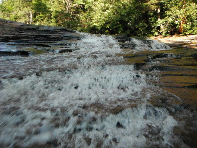 Picture 31 of Dolly Sods Lions Head Hike 072514