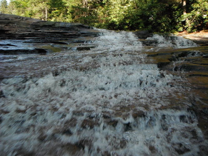 Picture 30 of Dolly Sods Lions Head Hike 072514