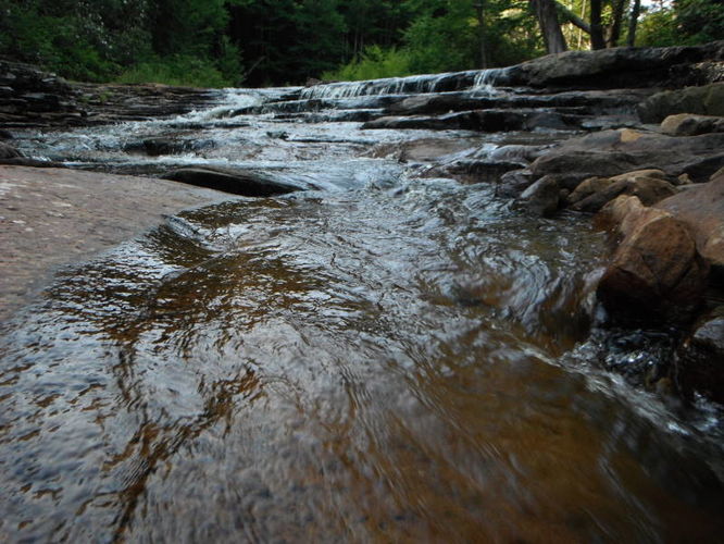 Picture 29 of Dolly Sods Lions Head Hike 072514