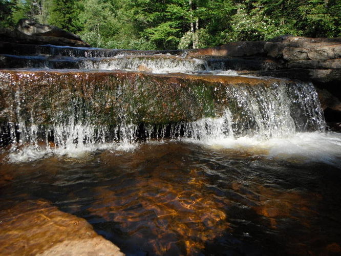 Picture 27 of Dolly Sods Lions Head Hike 072514