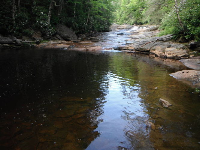 Picture 26 of Dolly Sods Lions Head Hike 072514