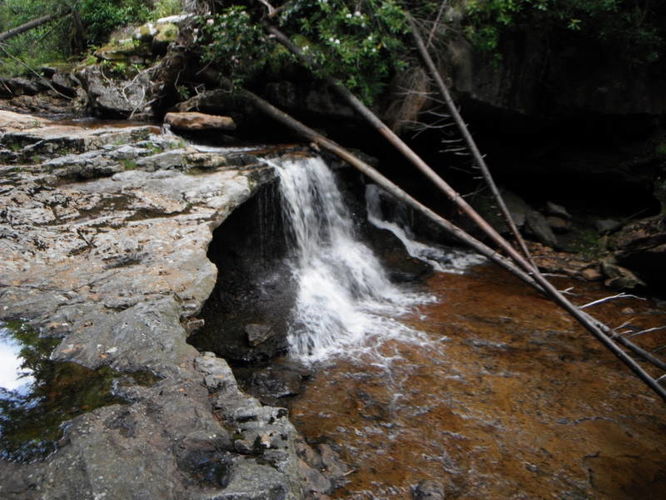 Picture 25 of Dolly Sods Lions Head Hike 072514