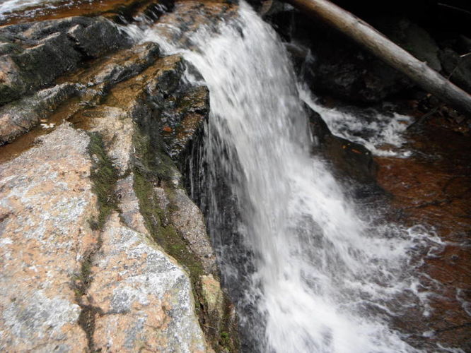 Picture 24 of Dolly Sods Lions Head Hike 072514