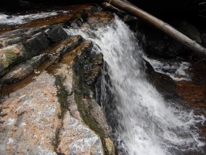 Picture 23 of Dolly Sods Lions Head Hike 072514