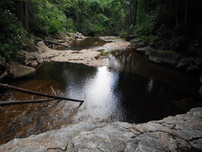 Picture 22 of Dolly Sods Lions Head Hike 072514