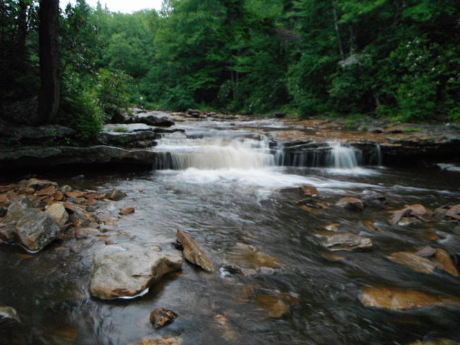 Picture 21 of Dolly Sods Lions Head Hike 072514