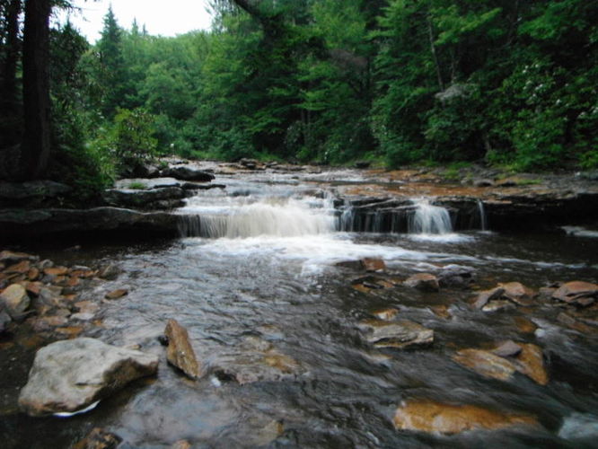 Picture 20 of Dolly Sods Lions Head Hike 072514