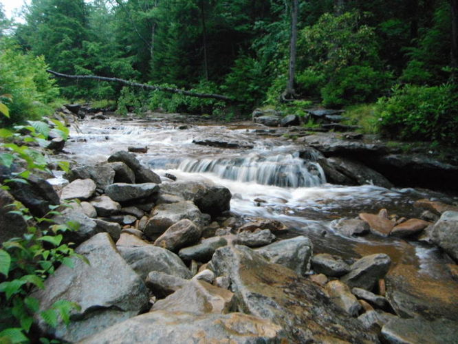 Picture 19 of Dolly Sods Lions Head Hike 072514