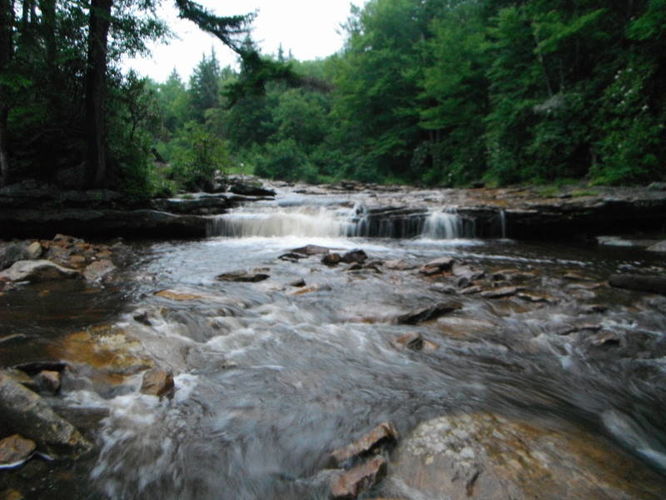 Picture 18 of Dolly Sods Lions Head Hike 072514