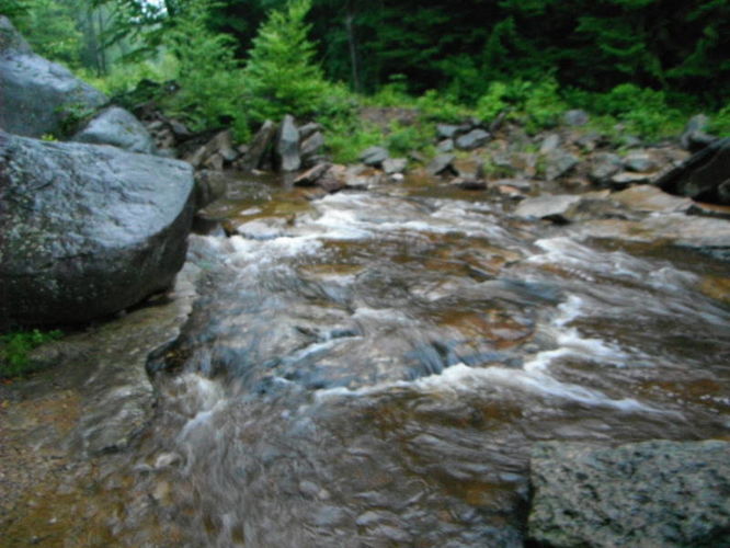 Picture 17 of Dolly Sods Lions Head Hike 072514