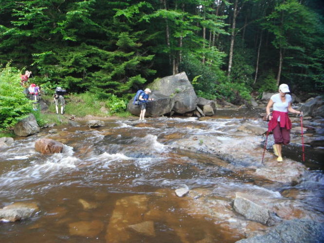 Picture 16 of Dolly Sods Lions Head Hike 072514