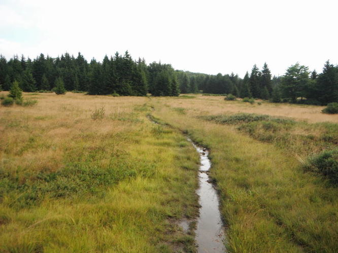 Picture 13 of Dolly Sods Lions Head Hike 072514