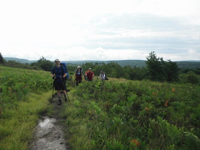 Picture 8 of Dolly Sods Lions Head Hike 072514