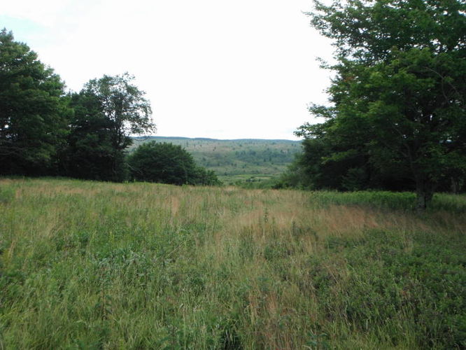 Picture 6 of Dolly Sods Lions Head Hike 072514