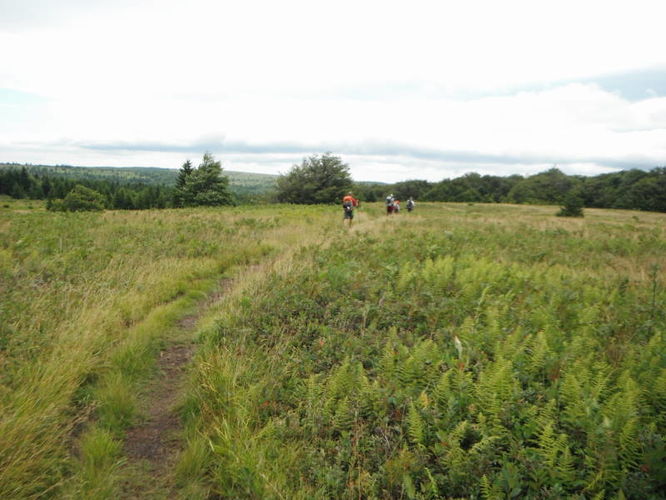 Picture 4 of Dolly Sods Lions Head Hike 072514