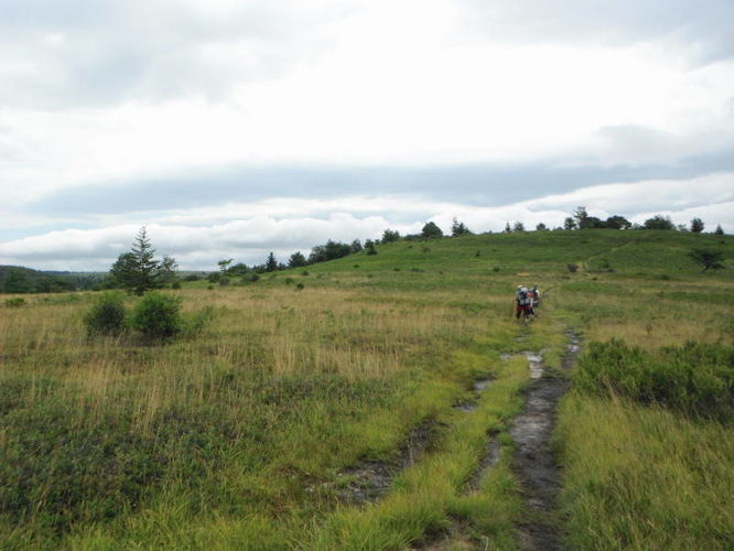 Picture 3 of Dolly Sods Lions Head Hike 072514