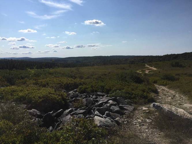 Picture 2 of Dolly Sods Loop