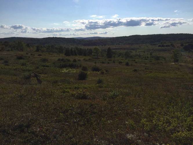 Picture 5 of Dolly Sods Loop