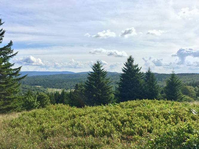 View southwest into Dolly Sods and the Rocky Ridge Trail