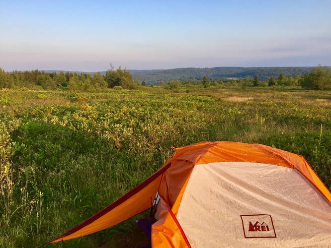 Picture 2 of Dolly Sods Solo Camping July 2018