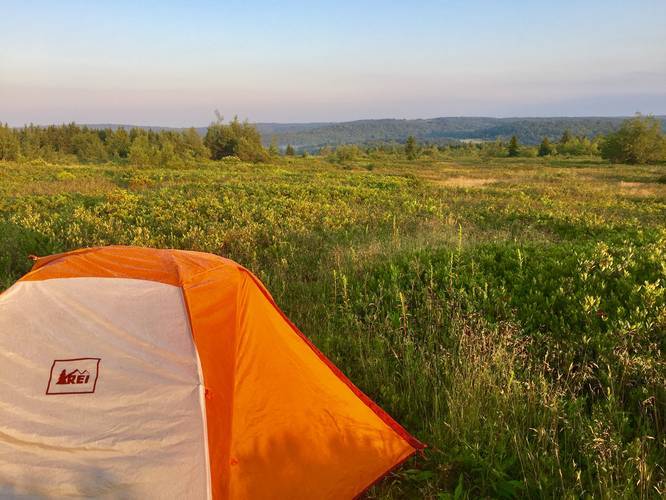 Picture 10 of Dolly Sods Solo Camping July 2018