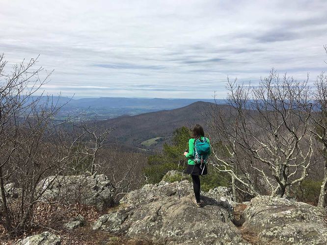 Default image for Double Bear Rocks Hike, a 8.2-mile trail in Sperryville, VA (US)