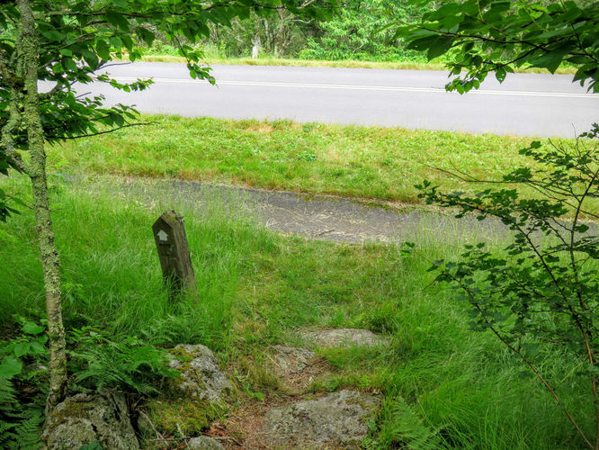 Picture 3 of Douglas Falls and Craggy Gardens 062618