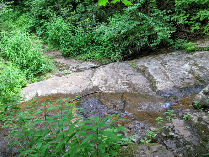 Picture 10 of Douglas Falls and Craggy Gardens 062618