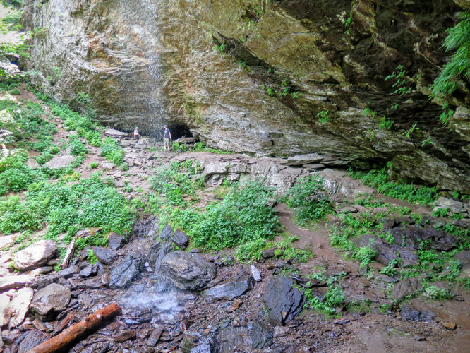 Picture 16 of Douglas Falls and Craggy Gardens 062618