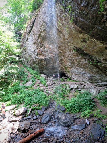 Picture 17 of Douglas Falls and Craggy Gardens 062618