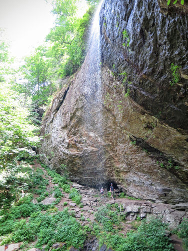 Picture 18 of Douglas Falls and Craggy Gardens 062618