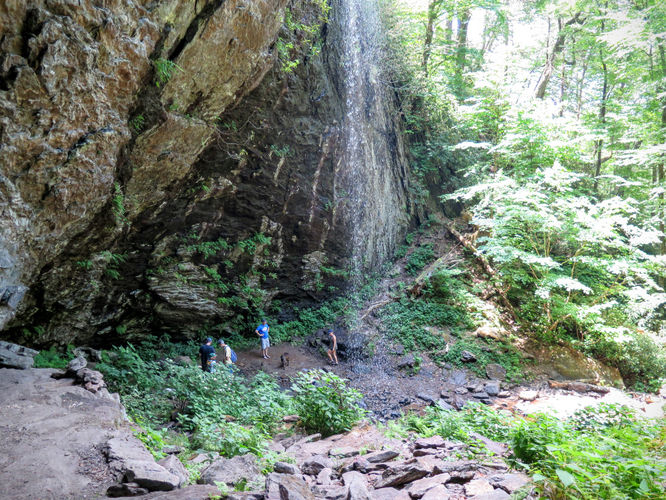 Picture 19 of Douglas Falls and Craggy Gardens 062618