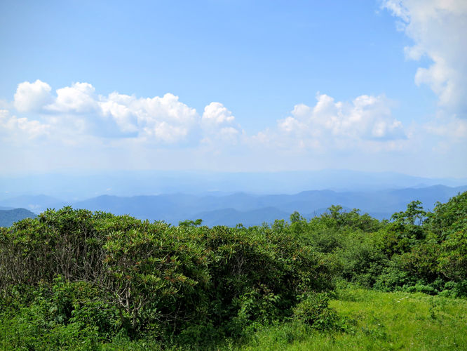 Picture 44 of Douglas Falls and Craggy Gardens 062618