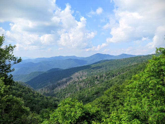 Default image for Douglas Falls and Craggy Gardens, a 10.3-mile trail in Barnardsville, NC (US)