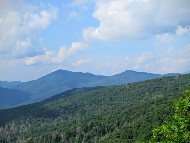 Picture 45 of Douglas Falls and Craggy Gardens 062618