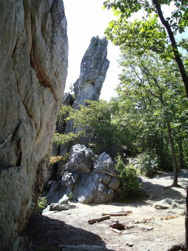 Picture 14 of Dragons Tooth Hike 090408