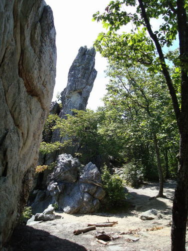 Picture 15 of Dragons Tooth Hike 090408