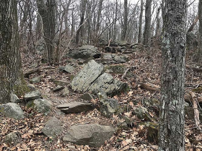 Picture 34 of Dripping Rock and Rockfish Gap Hike 112420