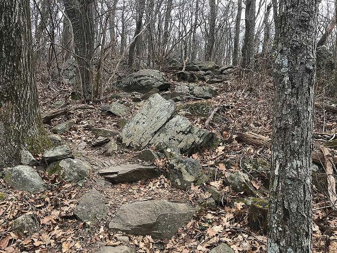 Picture 35 of Dripping Rock and Rockfish Gap Hike 112420