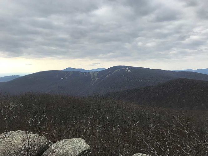 Default image for Dripping Rock and Rockfish Gap Hike, a 13.6-mile trail in Afton, VA (US)