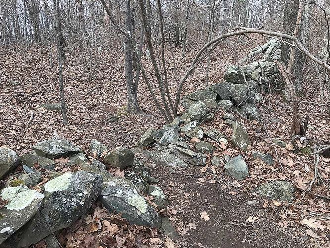 Picture 45 of Dripping Rock and Rockfish Gap Hike 112420