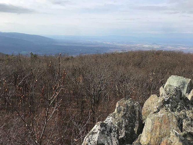 Picture 47 of Dripping Rock and Rockfish Gap Hike 112420