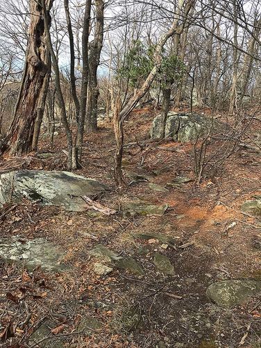 Picture 48 of Dripping Rock and Rockfish Gap Hike 112420